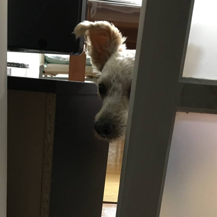 7fcfdf62 ffc3 4d8c 85cc e4cfa174cb53