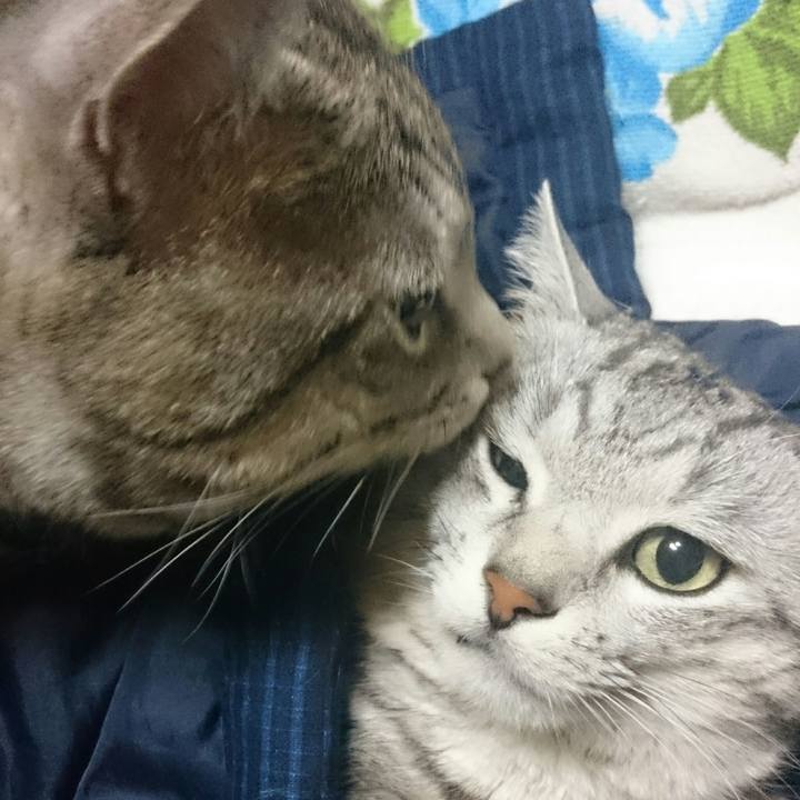 7fcfffb5 7d54 48e7 9cb1 919b8bb4a839