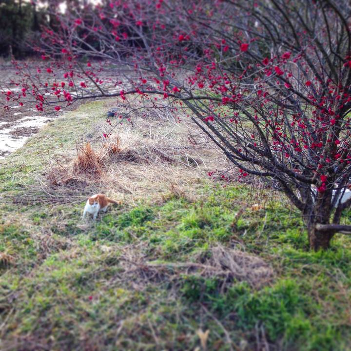 7fd03f71 059a 481a 8ab8 3850af98f6ed