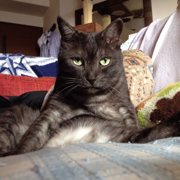 7fd05294 197f 4592 b394 e3ddc6fe1e2a