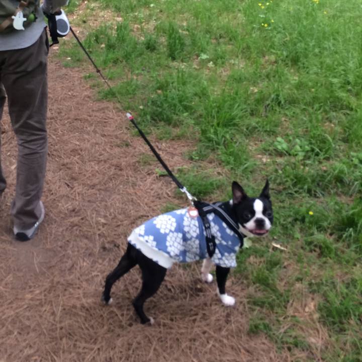 7fd0b3a1 c403 4eaa 8b86 ada28fba0a48