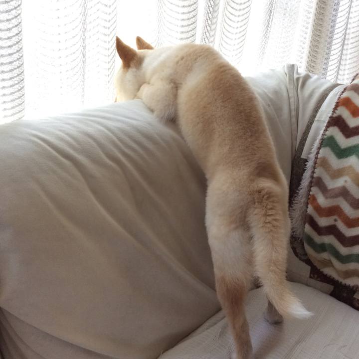 7fd0c3c8 d280 4be9 9d71 04bd14b83ac8