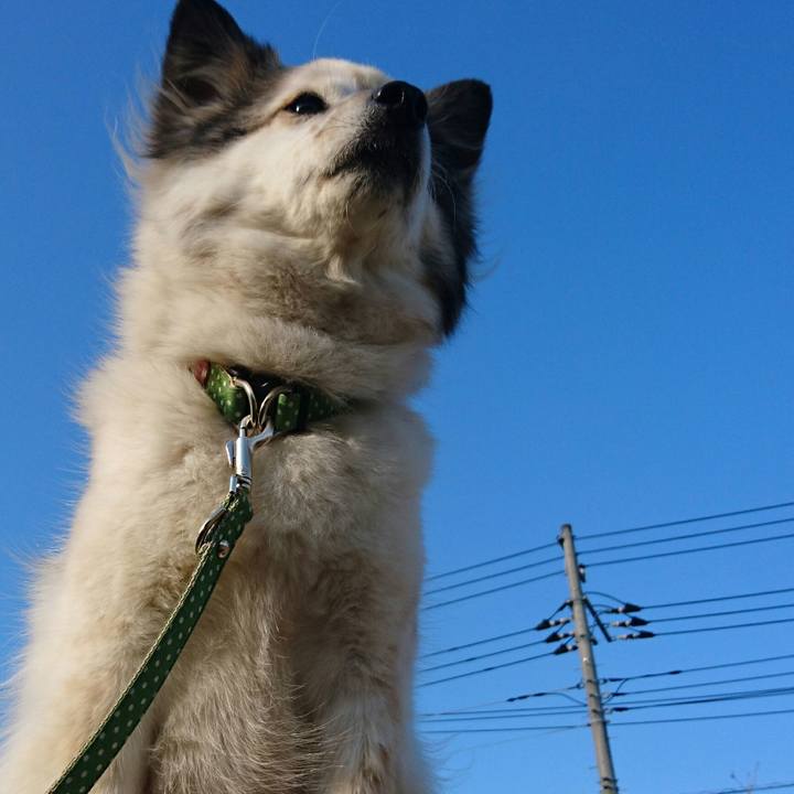 7fd2bbc7 ad67 4824 b66c 68811fddfda9