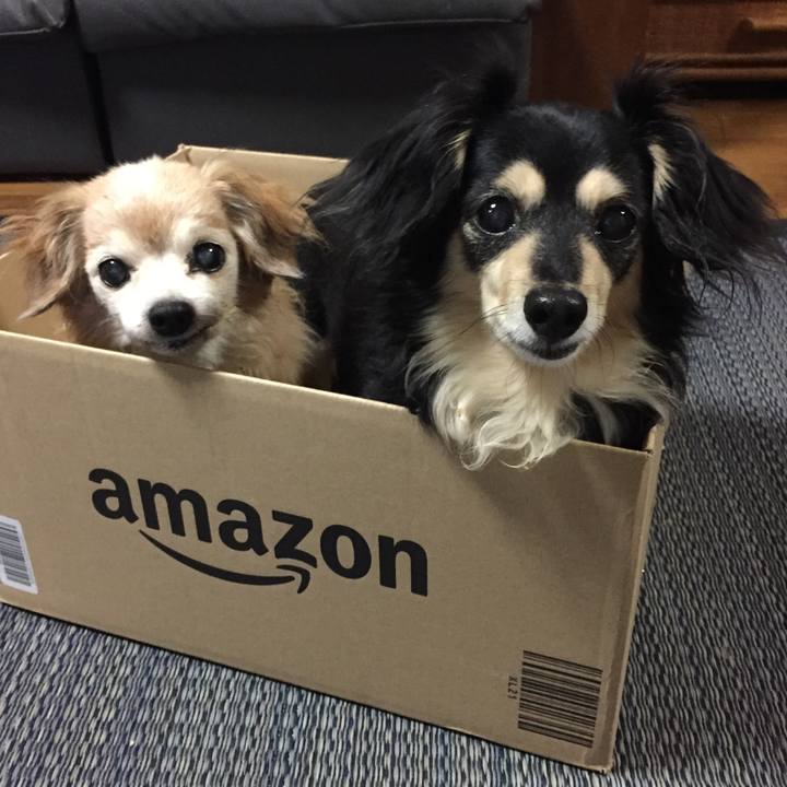 7fd36d7f 1dfd 4890 9fe7 ea2fbecb36f7