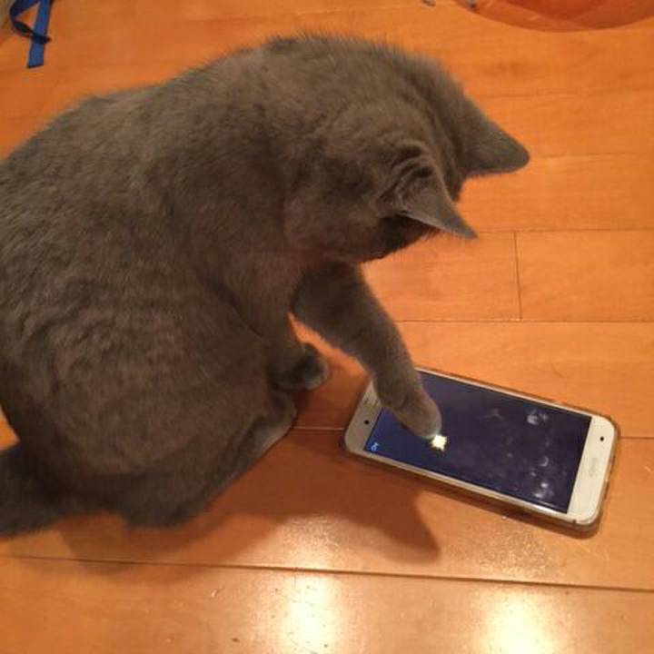 7fd36e95 45b5 4d61 9d86 d275245754af