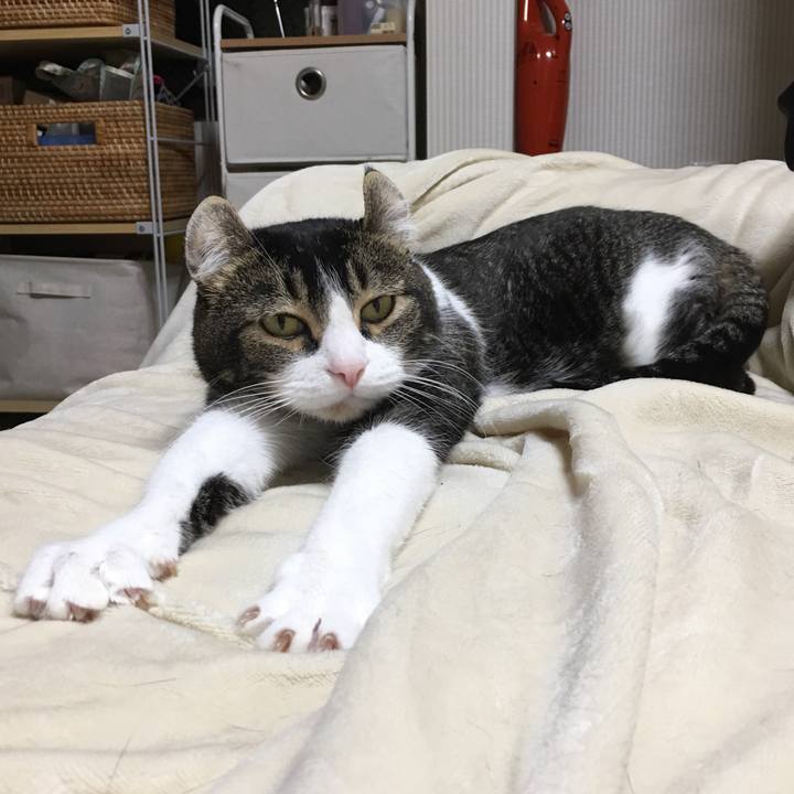 7fd3d15a d89f 41f2 b2c5 e039c9c29fc7