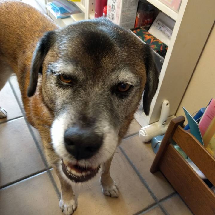 7fd3f4ea 8909 4e40 aa6e 48b5c79a4c2f