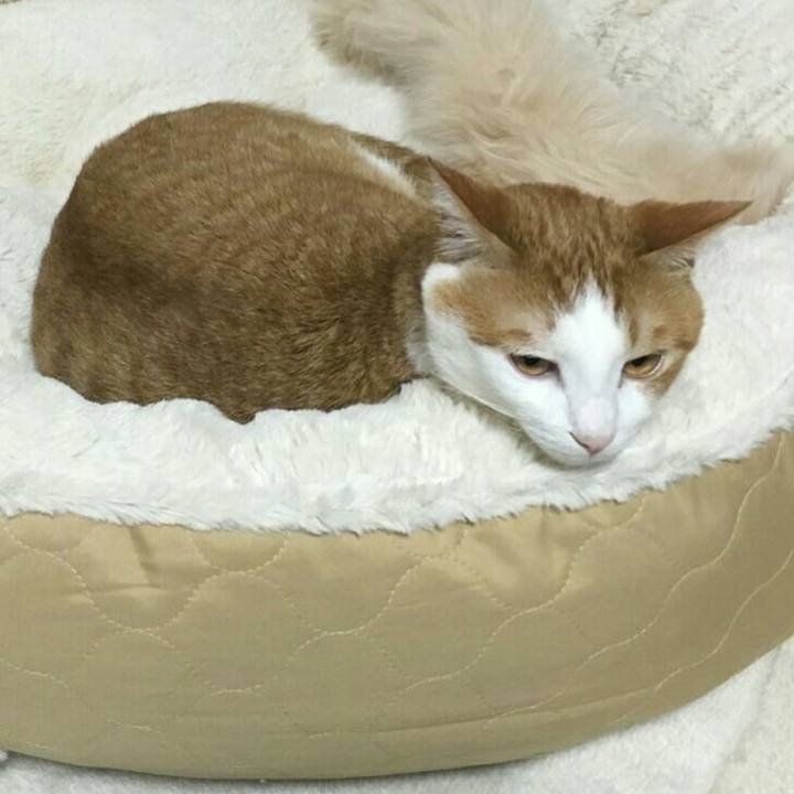 7fd402b3 a693 4c16 b1b7 ad3e4e3bcc53