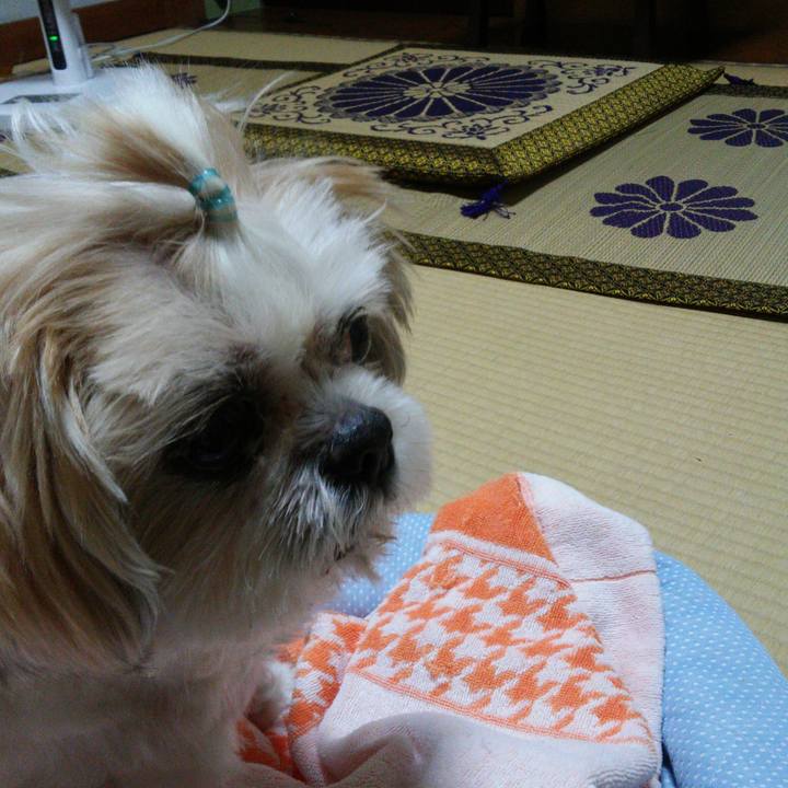 7fd4bbac ef20 4ff1 9e72 009c7dc960bc