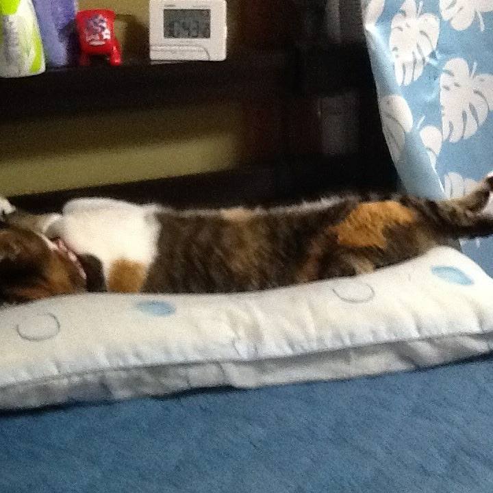 7fd552be b194 415b 8082 1fe6b60b167e