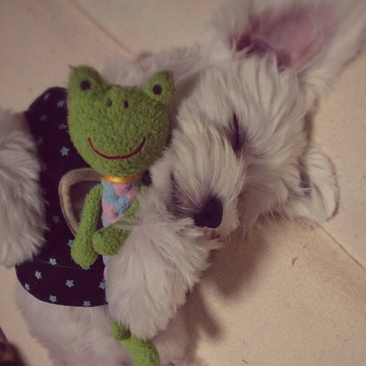 7fd621d0 0f15 4542 b598 97e096a81db9