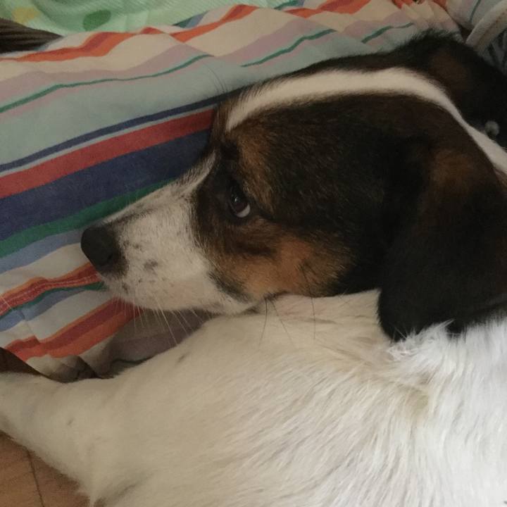 7fd6df8e 86bd 4890 b862 ebc02b896a06