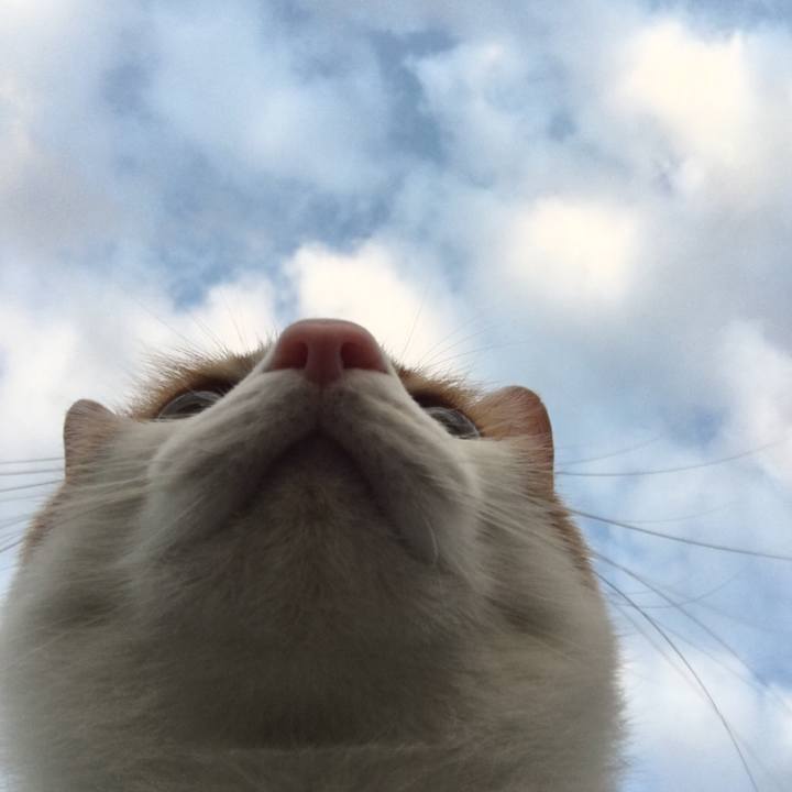 7fd6ec03 b1f6 4ba8 9814 6d928cc3daaf