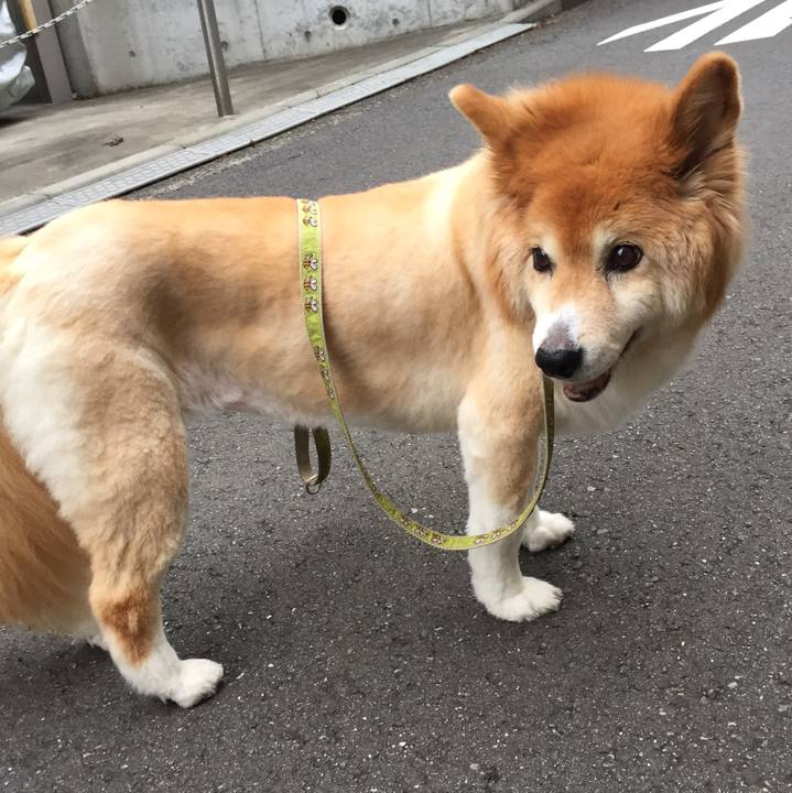 7fd76e52 d687 4a78 b405 81a7d1677dbc