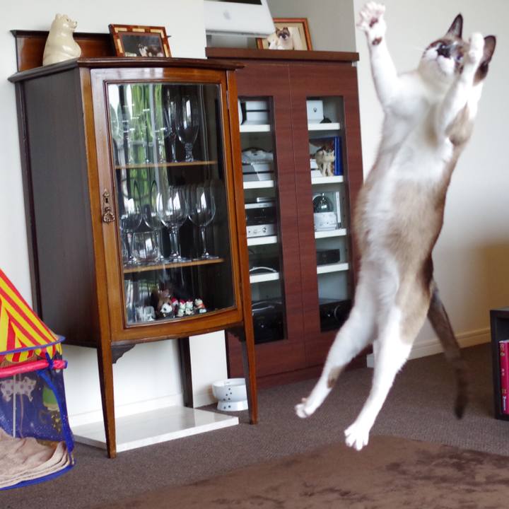 7fd8f35b 80b6 4d0f b31d c1ddbdffbf12