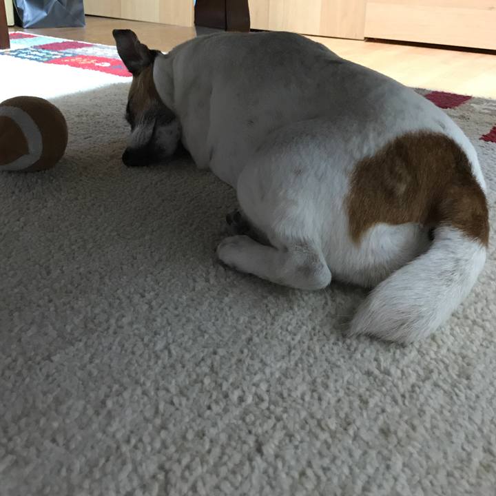 7fd9839a af02 4b3d 8c19 c545a46f0cc7