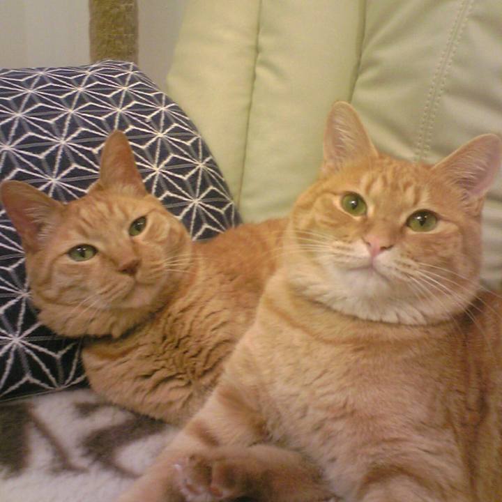 7fda21f4 4ea7 4ec0 a6d7 3afb42869a38