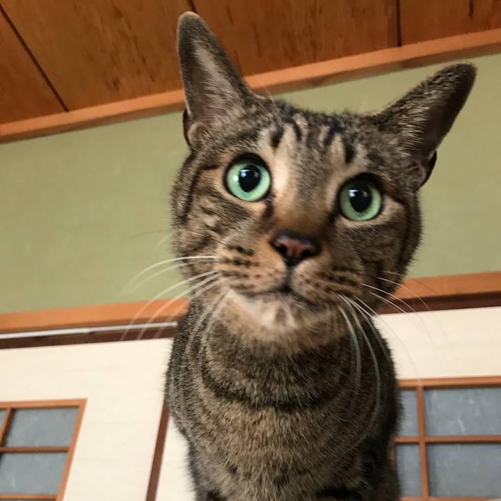 7fda959e 1e84 47ae ab08 589bd476bd85