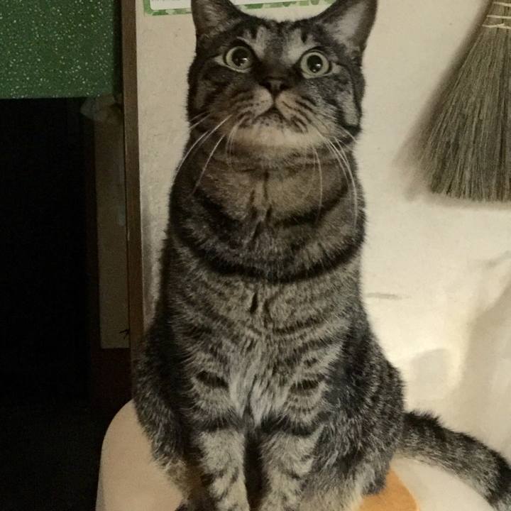 7fda99ed 5567 4cb2 b7d4 0329f36b899f