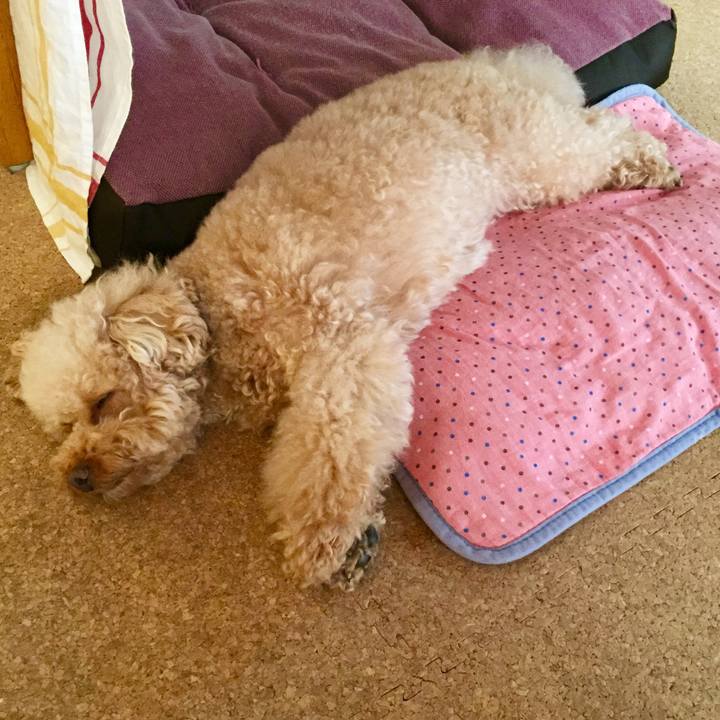 7fda9e1c 8f26 4c99 a9cc 38ad9a3054c1