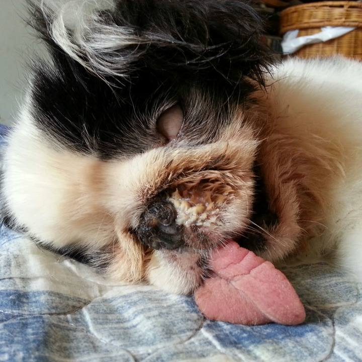 7fdb007c 7536 45ef 8819 bc3220569d7b