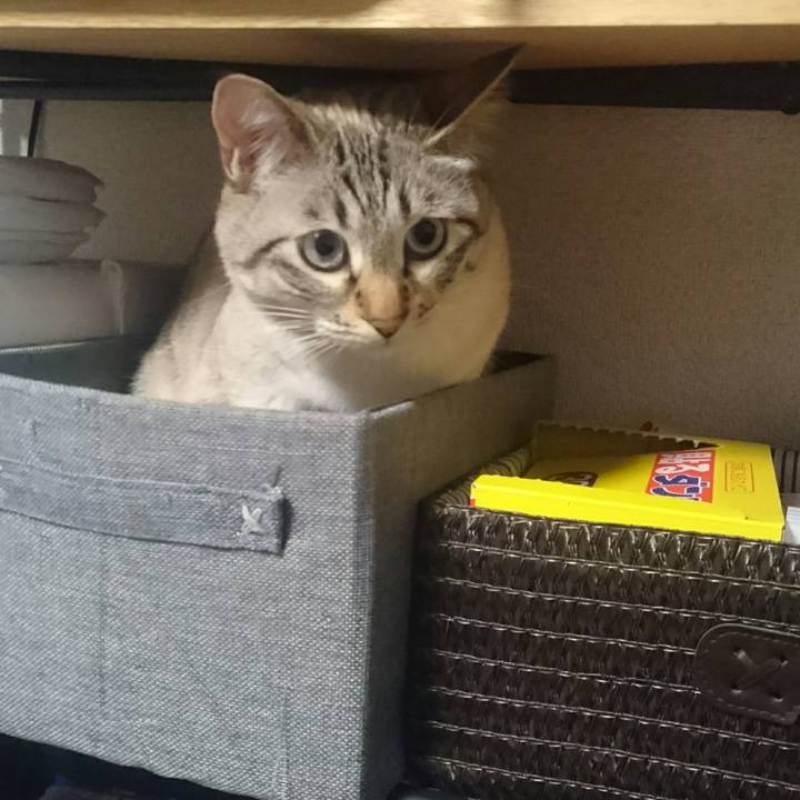 7fdb52a4 2d9e 4ef0 9b79 cc6508d9a39c