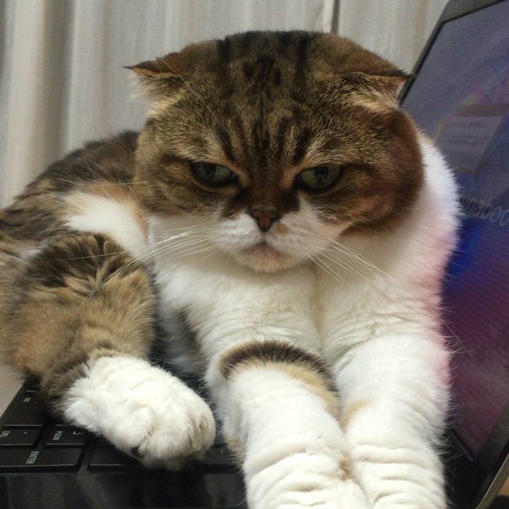 7fdbffb4 7e9d 4517 a0b5 35317b126260