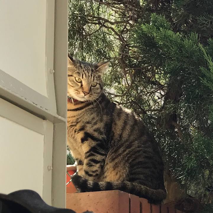 7fdcbd14 3eea 4e8a 964e 9a3e5abae183