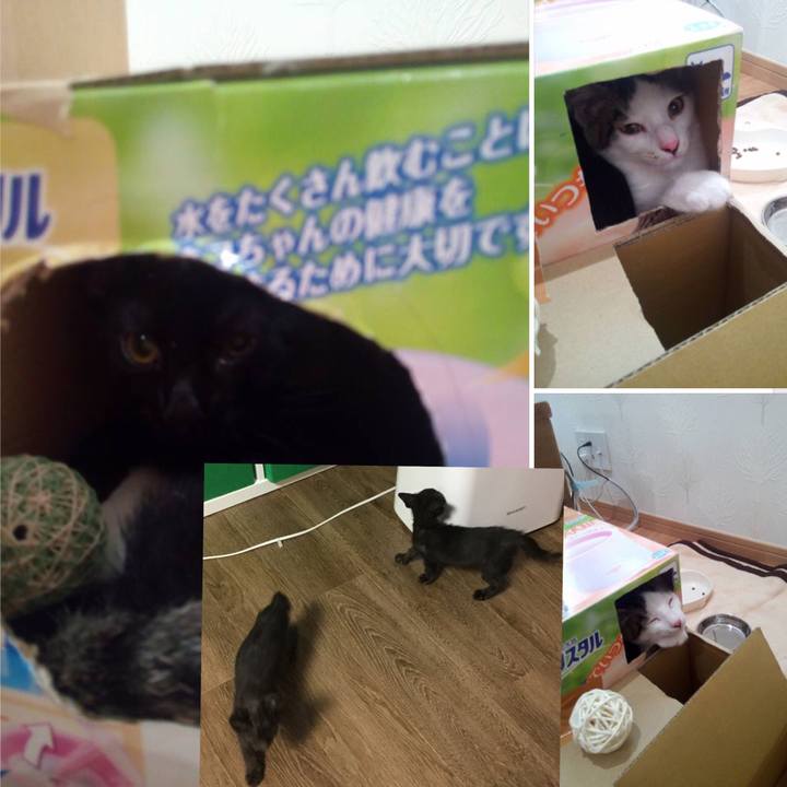 7fdd5ce7 e1c7 4e8f 9b28 8f3391293bf2