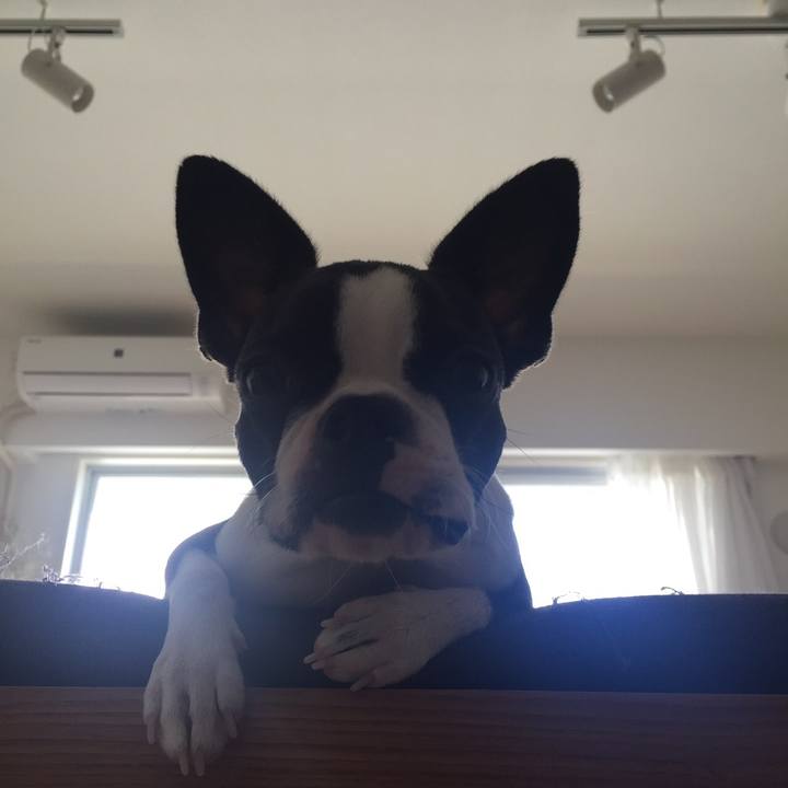 7fdd6229 8092 4895 ae52 69db78b04b45