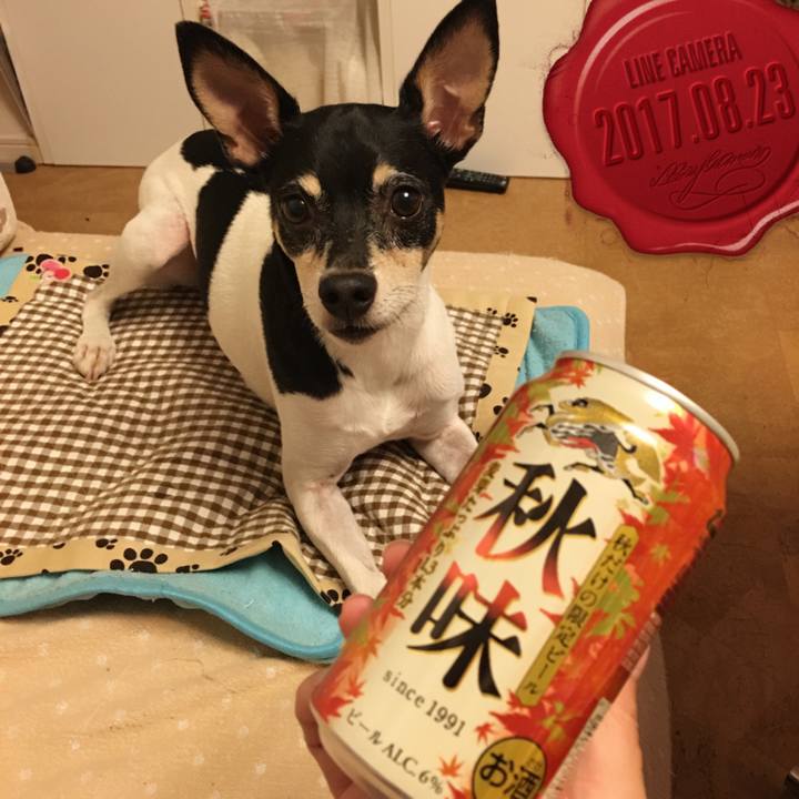 7fdd7713 6ea5 43e1 9d5b ade01fa37a6e