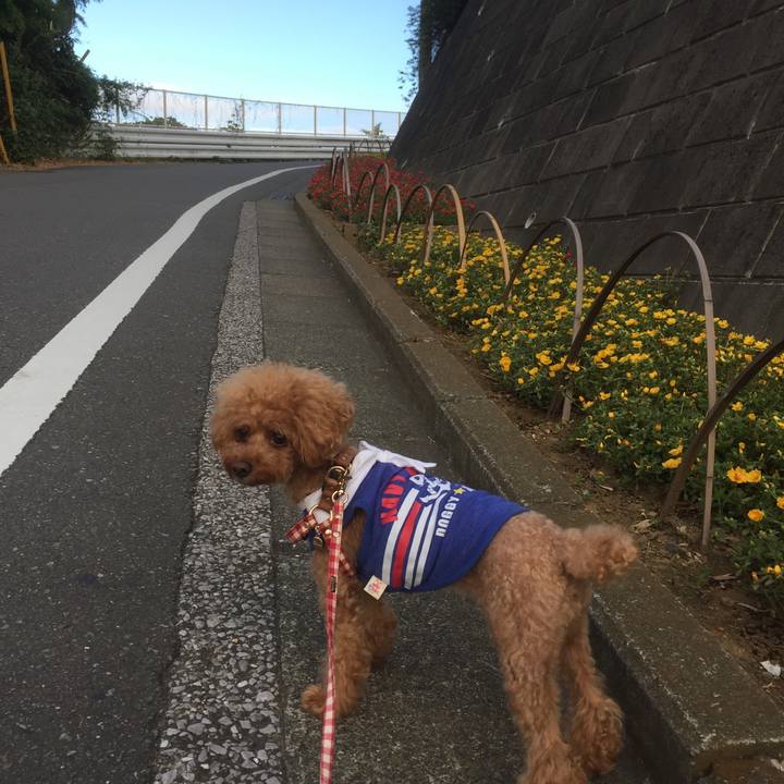 7fdde134 5fbe 4960 8296 fd4371c7277c