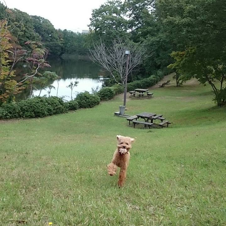 7fde6959 0f9d 4d0d b59d 9f3b57c16527