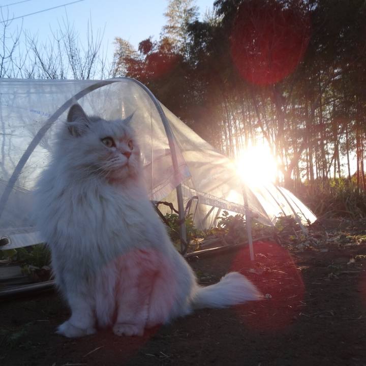 7fdf9975 4ec0 4b1f 9ddb 2dcb1fd7c154