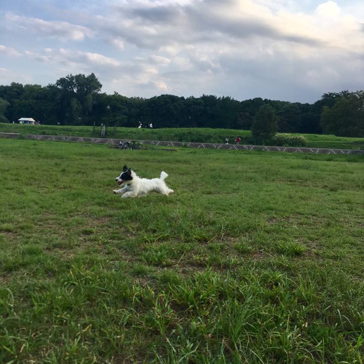 7fe035e6 9d18 4bba b228 1287bc6acd1a