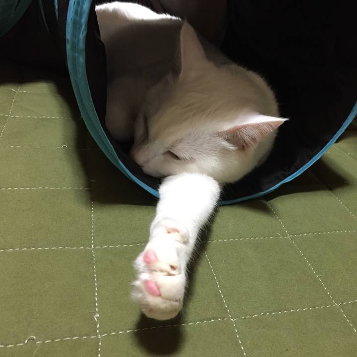 7fe04b11 8fe8 421d b8ed 1c3cc914deb8