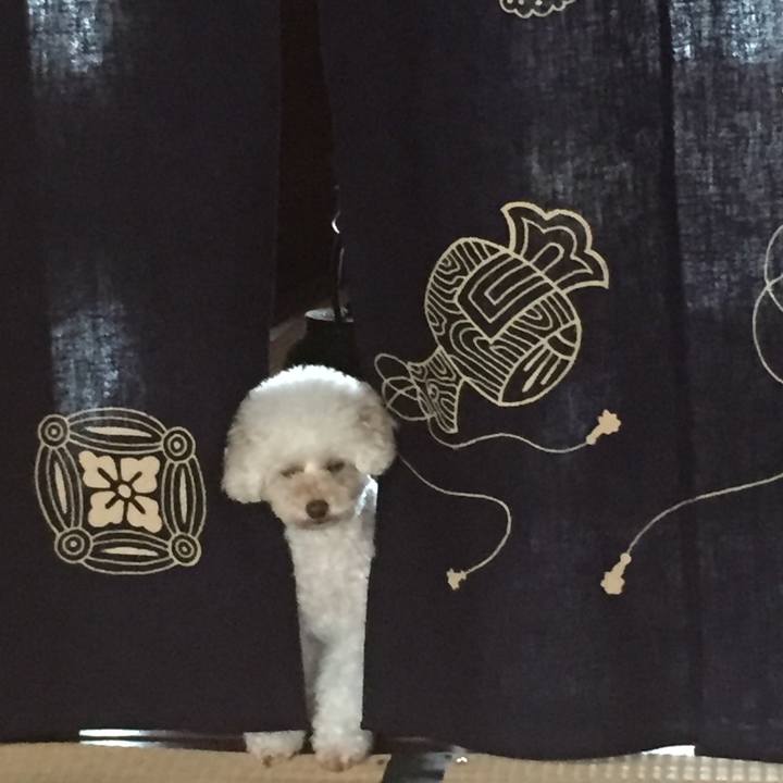 7fe09e78 0a6c 4762 85ec eab5717d82ec