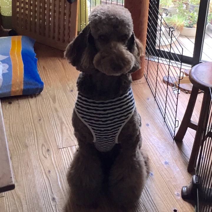 7fe0bbce 40f5 4b5f 95ff a23149e4a77c