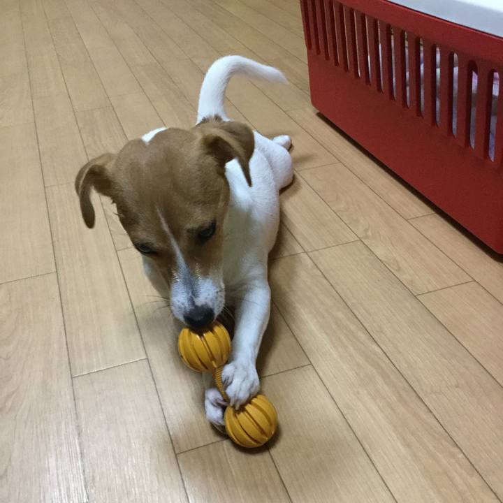 7fe10245 85ba 418b 96a9 0e1fb447c7aa