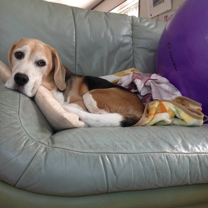 7fe11e61 23fe 40bc b8be e283b2468694