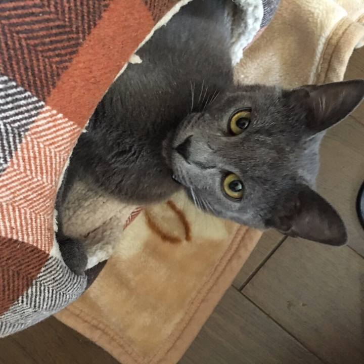 7fe17679 840b 4016 8de8 1a3dbe87e9b8