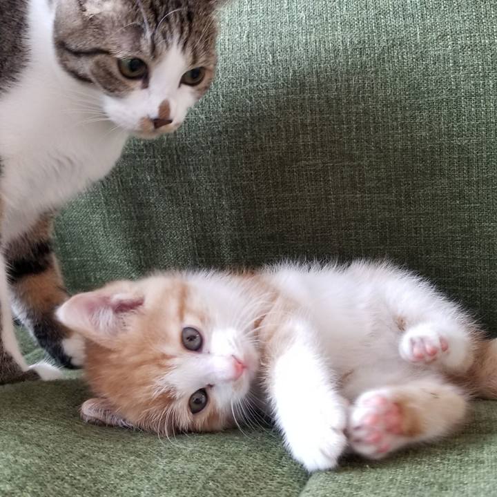 7fe183d6 349e 4604 a6c9 6f327477bfa4