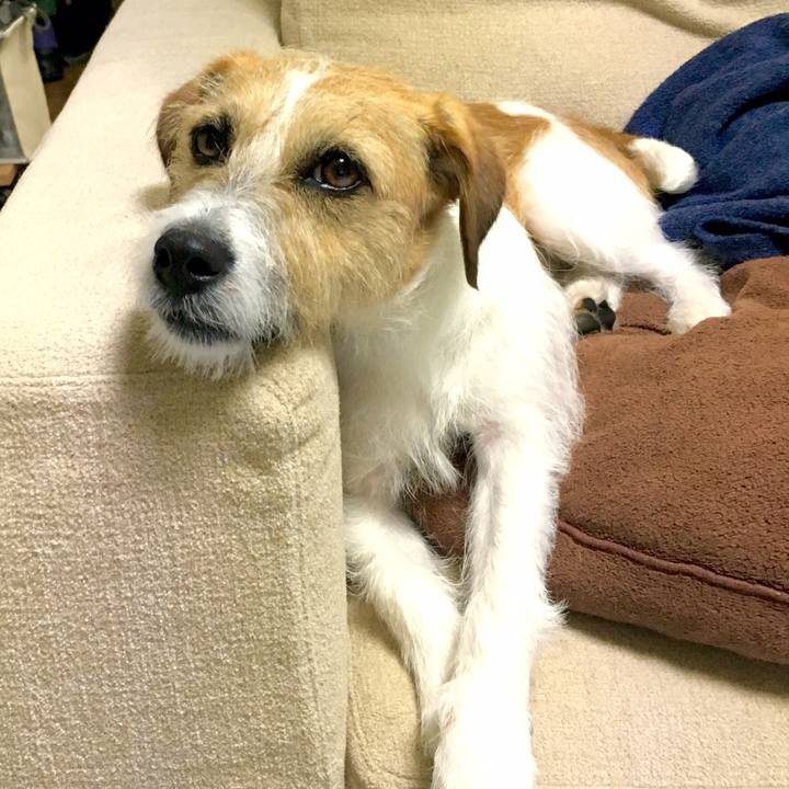 7fe194bc bafb 45de b321 45159aac7736