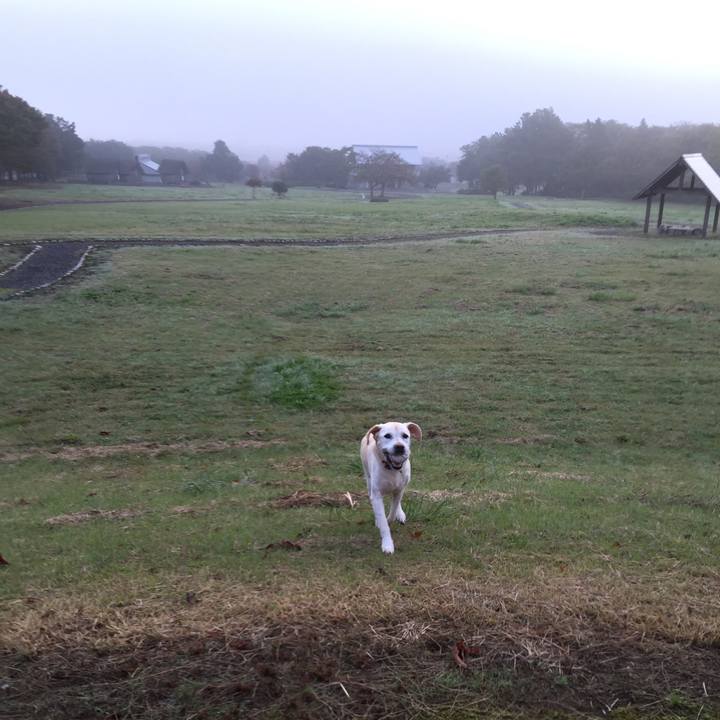 7fe1ff53 fa6e 4d95 8442 1b016664ab32