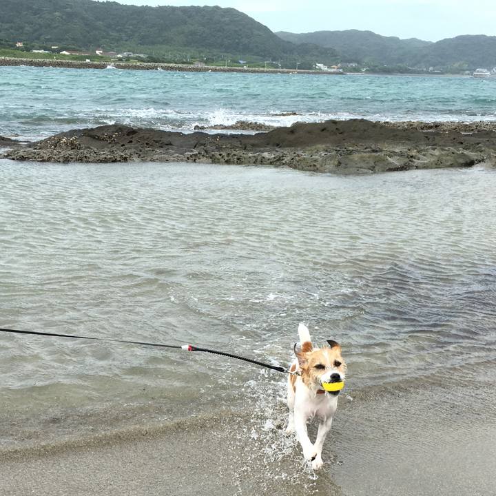 7fe2923b f588 483f a62f a6cf43d18c4d