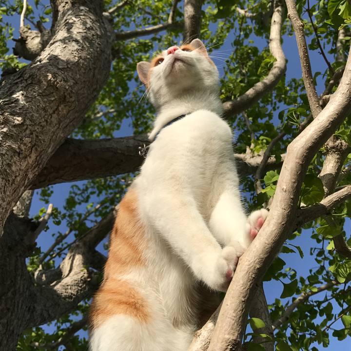 7fe2bf1d 655e 492a 85b6 719354c365d8