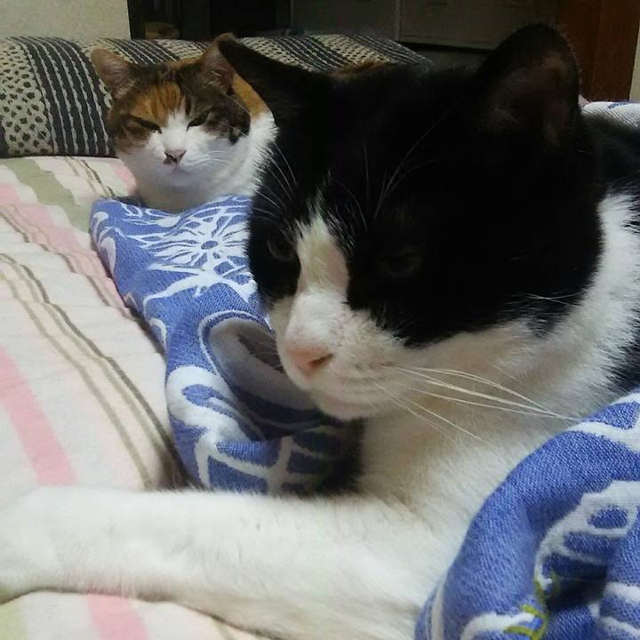 7fe358e7 85cd 4f92 9877 1849db388ce0