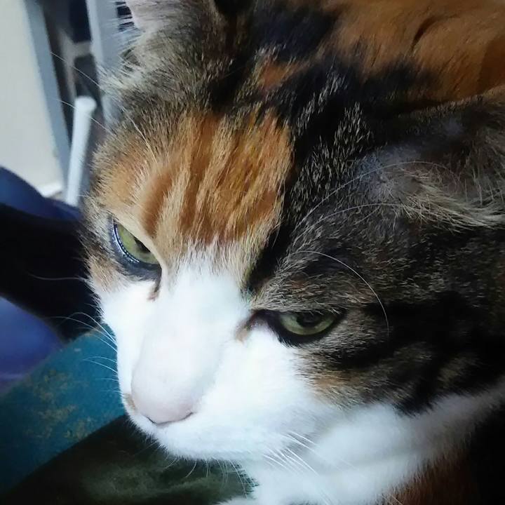 7fe42258 d286 45a2 966c 70a5e46af957