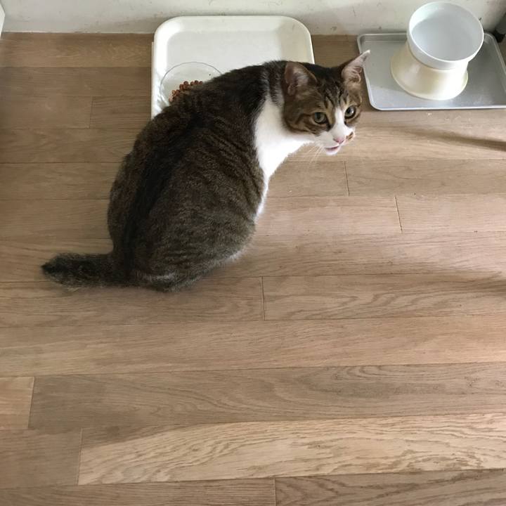 7fe50a1d 80e2 4bd0 82d8 fad8fe334e1d