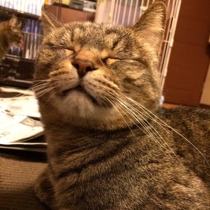 7fe50fcb 318d 460c 9b85 6cc078d92a1b